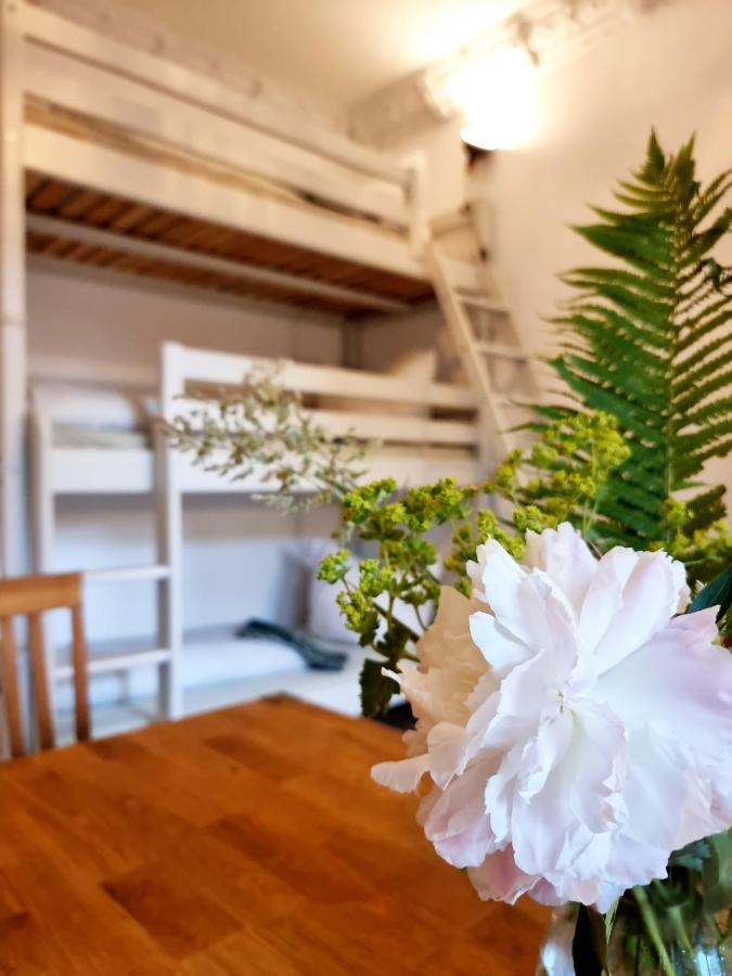 Hostel Lollis Homestay Drážďany Exteriér fotografie